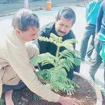 Green Seekers Activity